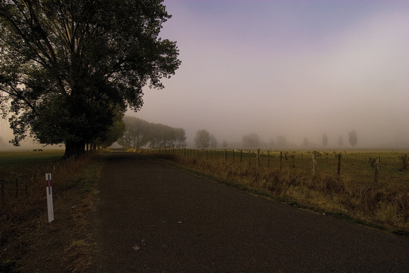 Tuki Tuki Valley in Fog